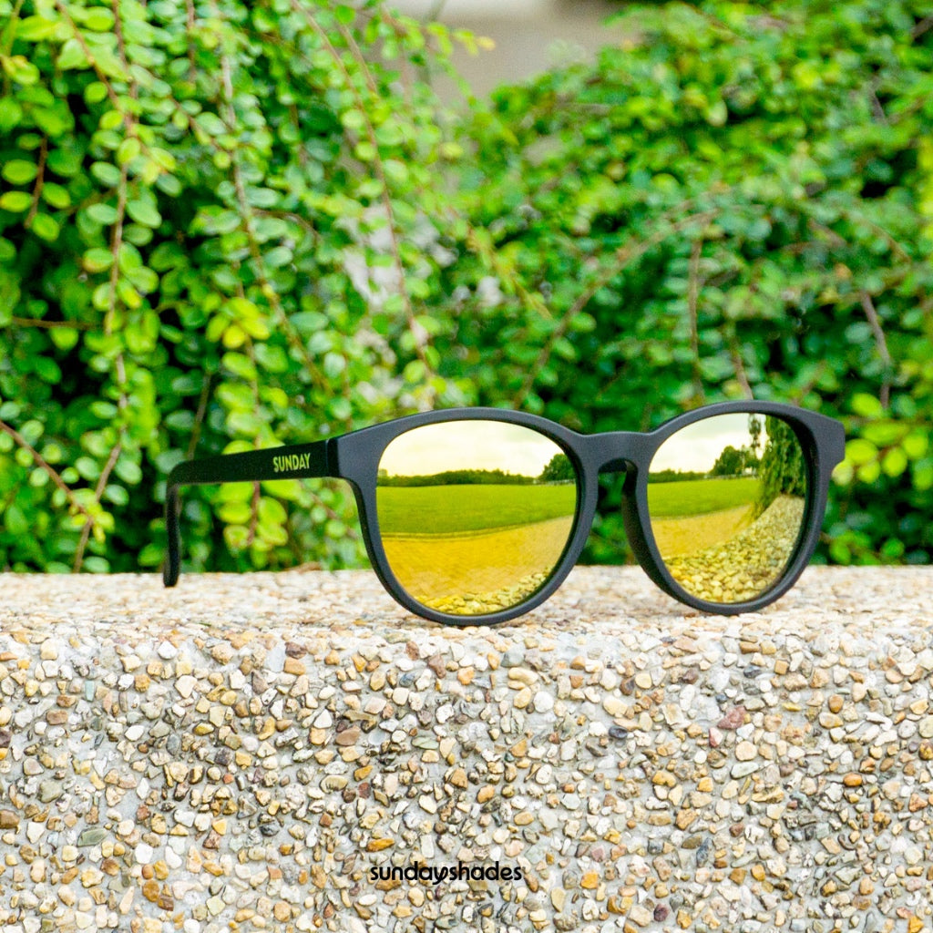 Kacamata Sunday Shades Co (Surge Series)