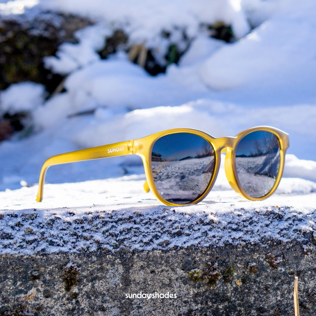 Kacamata Sunday Shades Co (Surge Series)
